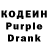 Кодеиновый сироп Lean Purple Drank Sandra Jenny