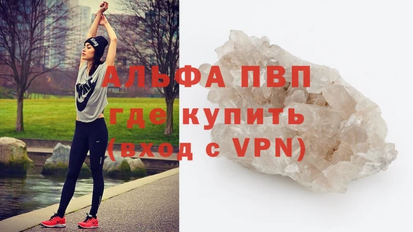 СК Алексин